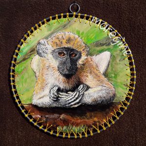 maregine_grüne_meerkatze