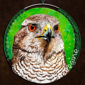 maregine_habicht_makr.