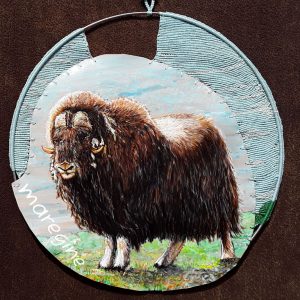 maregine_moschusochse_makr.