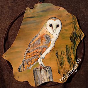 maregine_schleiereule