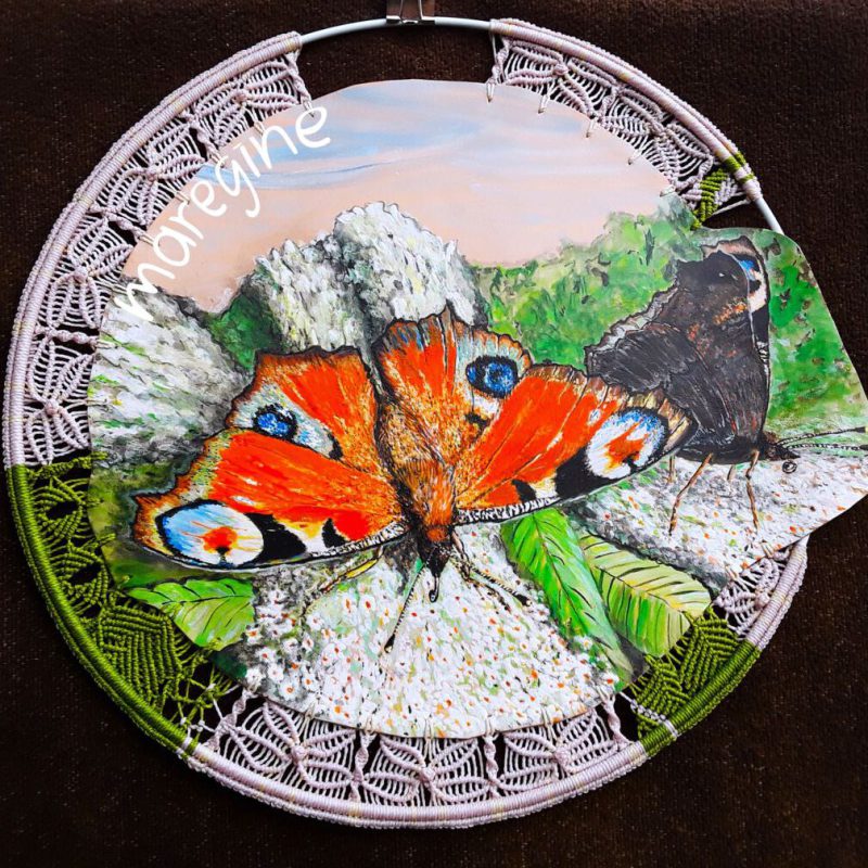 maregine_schmetterling