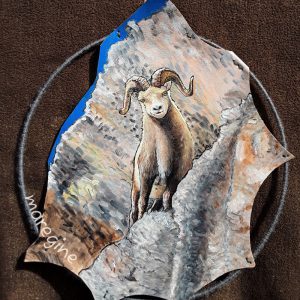 maregine_schneeschaf