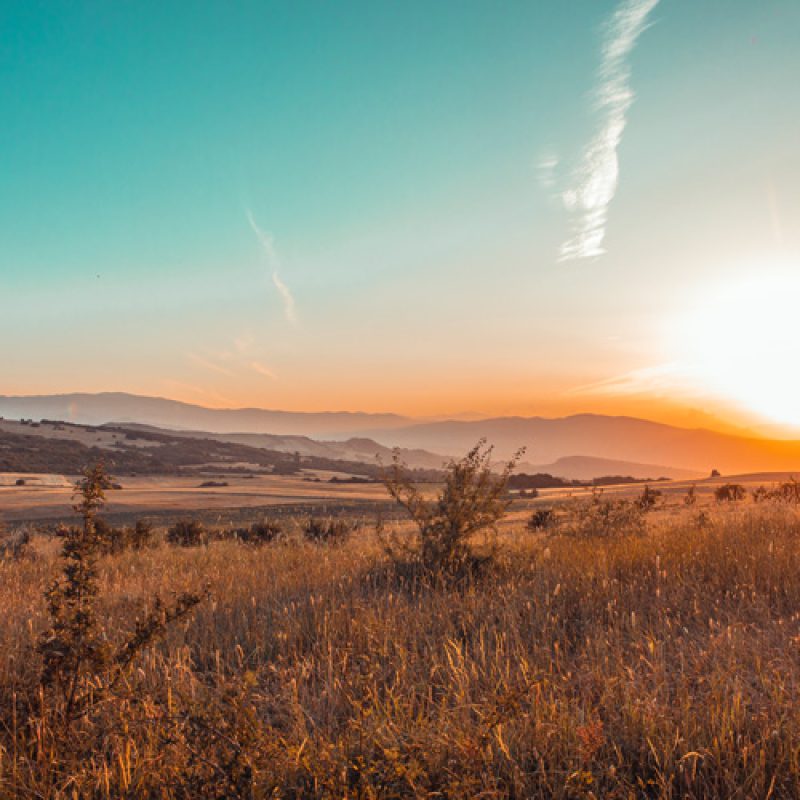 maregine_sonnensteppe