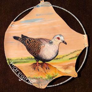 maregine_turteltaube